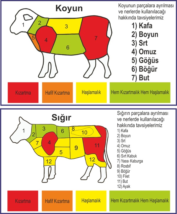 Etin Bölümleri ve Kullanım Alanları Evhayat